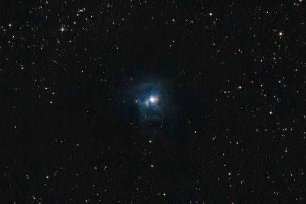 NGC 7023 (Iris) - Astrophotography