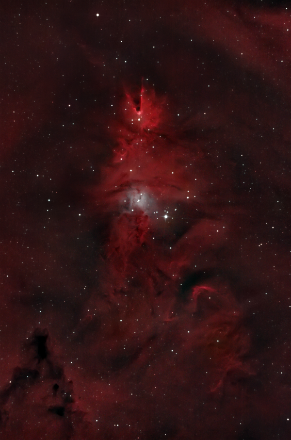 Open cluster NGC 2264 