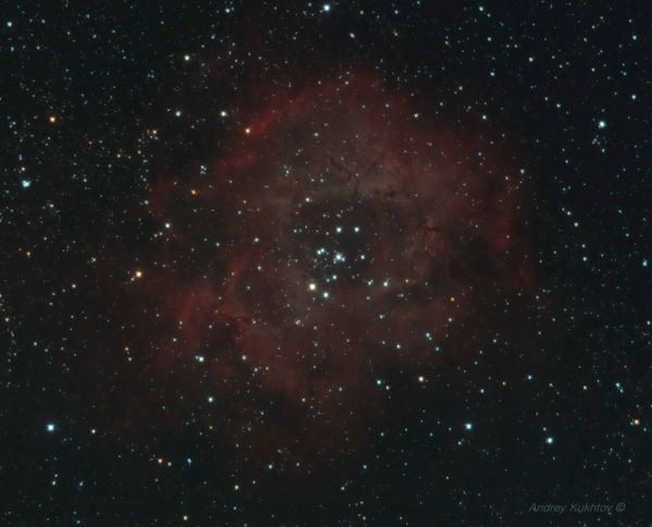 The Rosette Nebula (NGC 2237) - Astrophotography