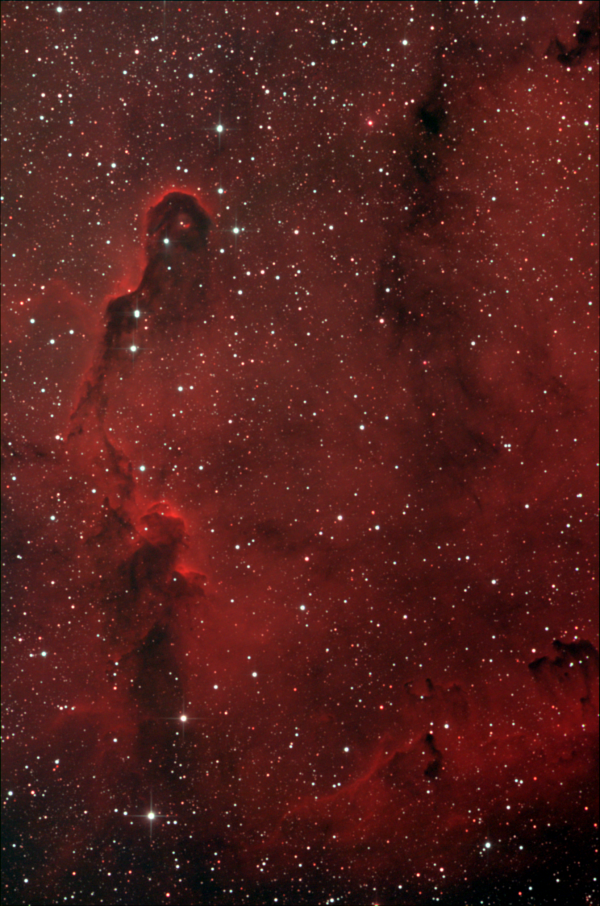 IC 1396A. The Elephant's Trunk Nebula. - Astrophotography