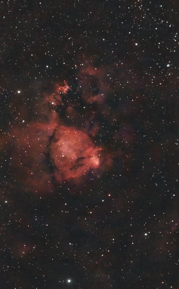 LDN-1373 - Fishhead Nebula - Astrophotography