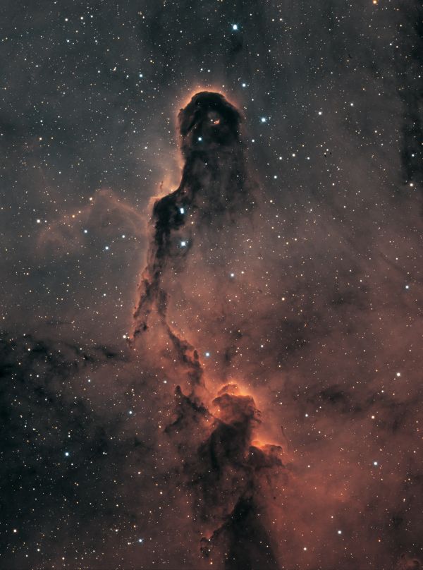 IC 1396 Elepant Trunk in Bi-Color (crop) - Astrophotography