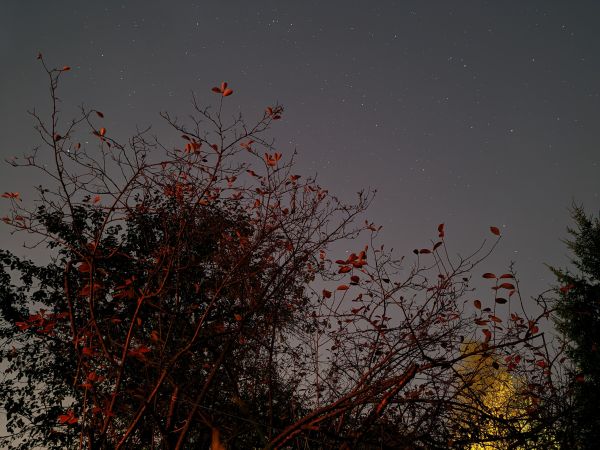Autumn night - Astrophotography