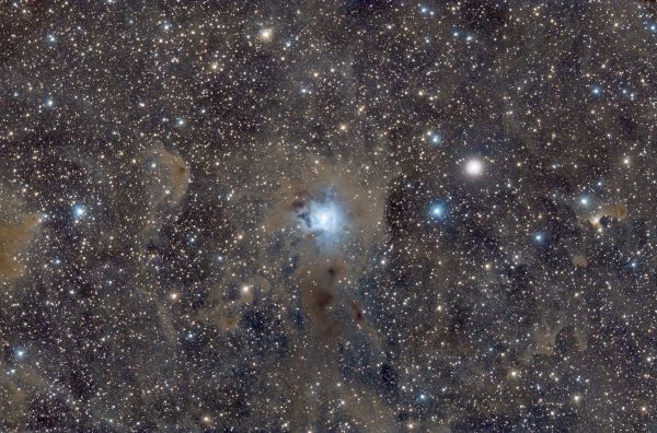 Iris - Astrophotography