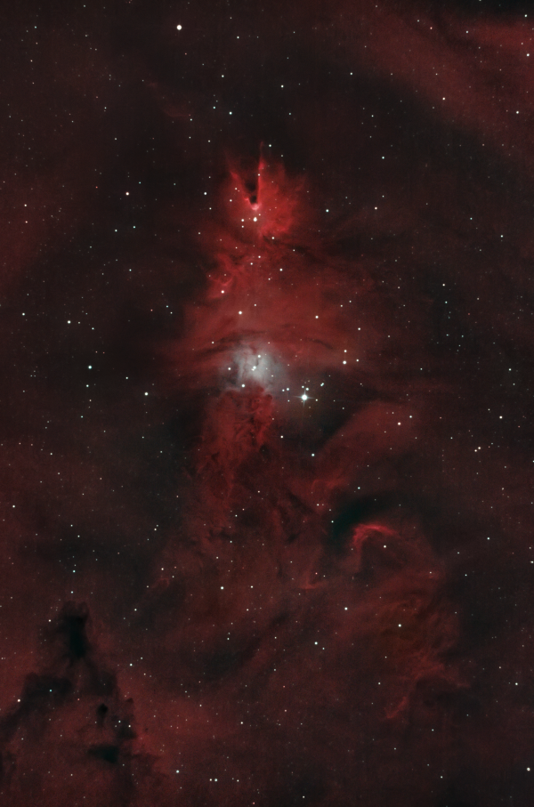 Open cluster NGC 2264 and the diffuse nebula 