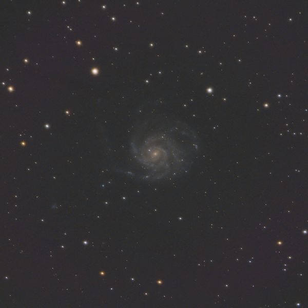 M101 Pinwheel Galaxy - Astrophotography