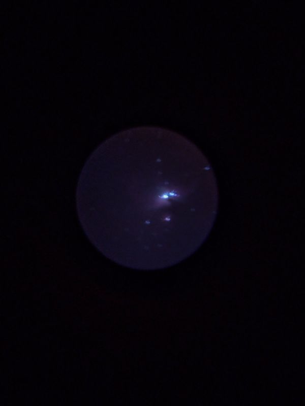 M42 - Orion Nebula - Astrophotography