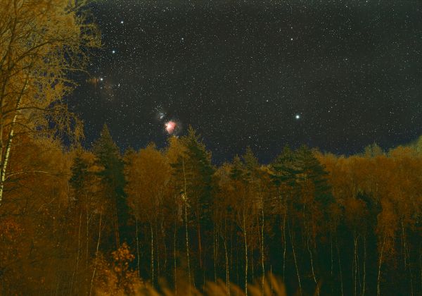 Orion rising over the forest - Astrophotography