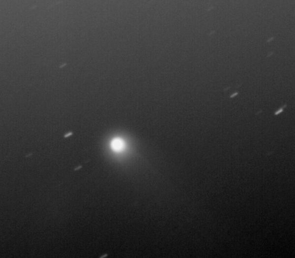 Comet 12P/Pons-Brooks 04.04.2024 - Astrophotography