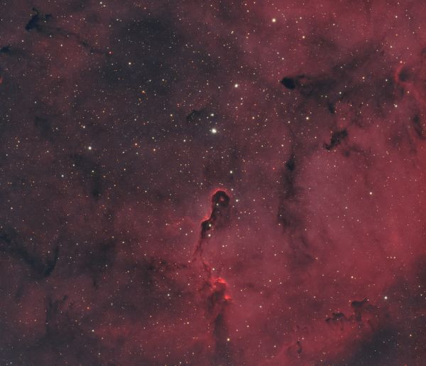 IC 1396 - Astrophotography