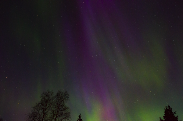 11. Northern Lights 23.04.2023 - Astrophotography