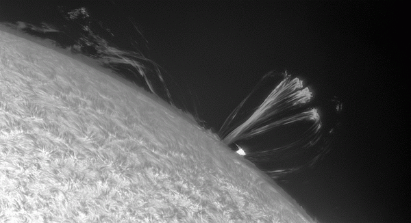 Animation of magnetic loops on June 24, 2024 - Astrophotography