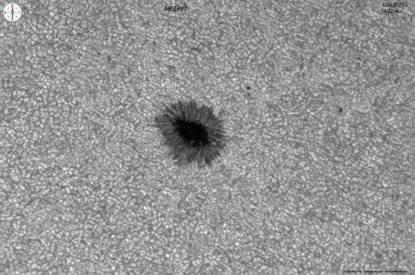 Sunspot Group No. 3391 on August 6, 2023. - Astrophotography