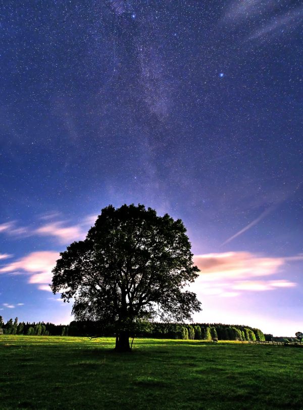 Milky Way 08.2025 - Astrophotography