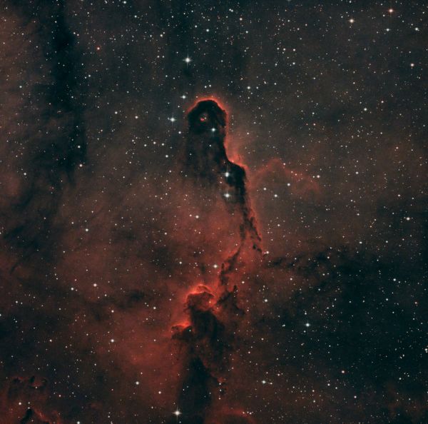 IC 1396A - Elephant's Trunk - Astrophotography
