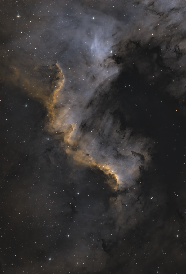 A section of the North America Nebula (SHO) - Astrophotography
