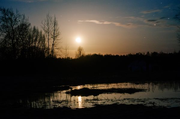 The Moon in Vorobinskoye Marsh - Astrophotography
