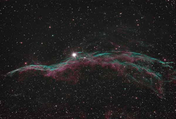 NGC 6960. The Veil Nebula - Astrophotography