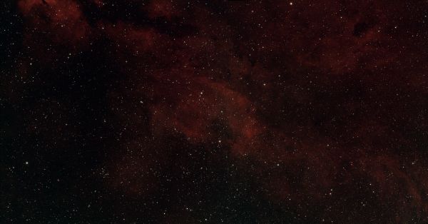 Sadr and Nebulae - Astrophotography