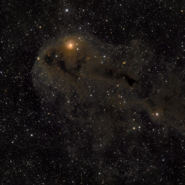 LDN 1251 - Rotten Fish Nebula - Astrophotography