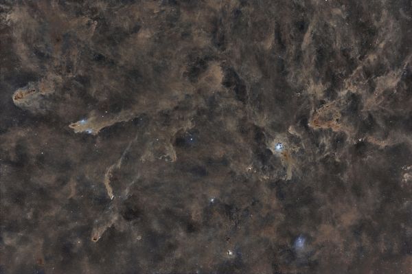 Dust fields and reflection nebulae in Cepheus on a wide field - Astrophotography