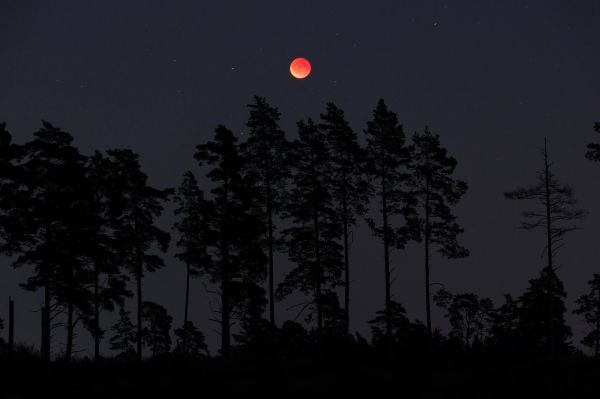Lunar eclipse 09.2025 - Astrophotography