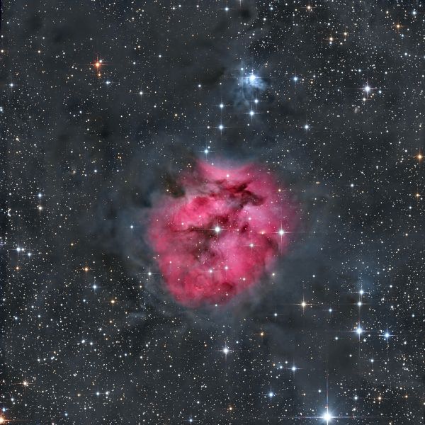 Cocoon Nebula - Astrophotography